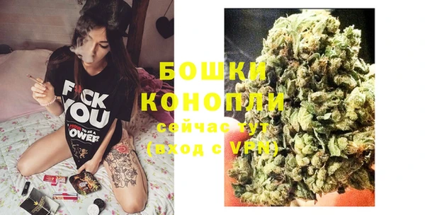 МДПВ Лиски