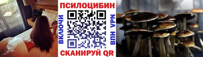мега как зайти  магазин продажи   Дмитров  Галлюциногенные грибы MAGIC MUSHROOMS 