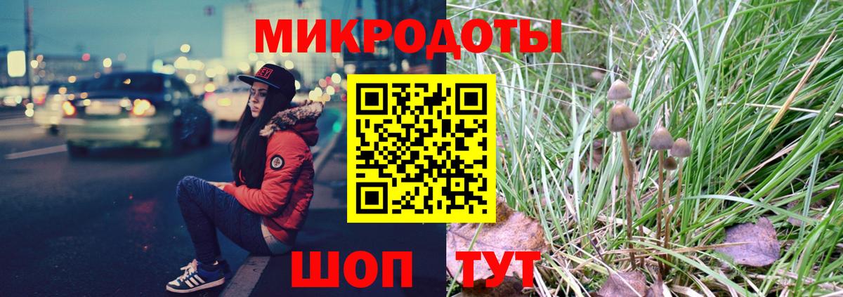 Псилоцибиновые грибы Cubensis  Дмитров 