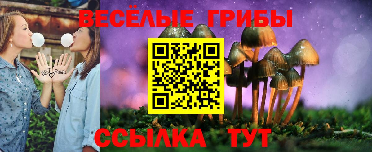 Галлюциногенные грибы прущие грибы Дмитров