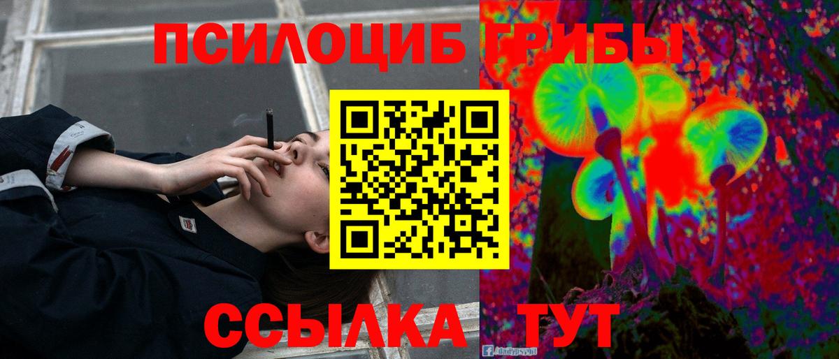 Галлюциногенные грибы Magic Shrooms Дмитров