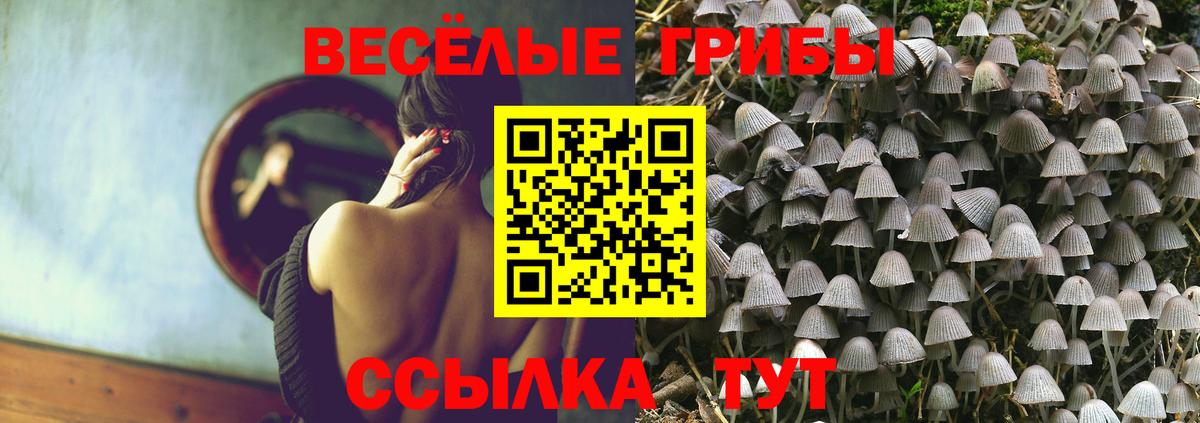 Псилоцибиновые грибы MAGIC MUSHROOMS  Галлюциногенные грибы Psilocybe  Вход с VPN  Дмитров 